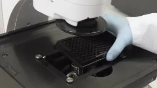 Thermo Scientific VarioSkan LUX and Invitrogen EVOS Cell Imaging System