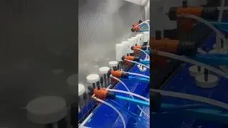 Automatic UV Paint Coating Line for Metallization #pintura #UV #paint #coating #metallization