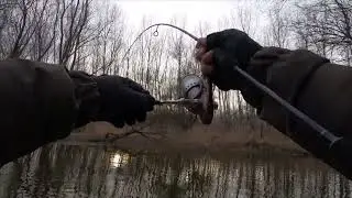 LÁRVA minden HALAt visz...  xul horgászat Kirillel 02.04 redkrill.hu #fishing