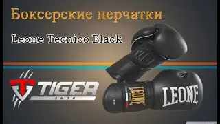 Боксерские перчатки Leone Tecnico Black | TIGERSHOP