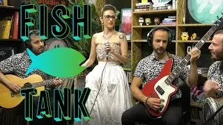 שפיטה - Bitter Sweet Symphony |  פישטנק  FISHTANK | אקו 99