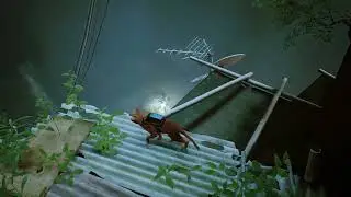 Capitulo 08: Llegamos al centro para buscar a Clementine #stray #gampleplay