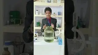 Particles of matter have space between them😍 | Class 9 chemistry #shorts #science