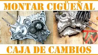 Como montar CIGUEÑAL CAJA DE CAMBIOS y cerrar motor MOTO 🛵👨🏿‍🔧