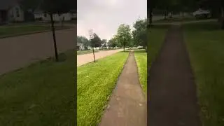 Lucy, 1.5 year old Husky demonstrating her advanced off-leash obedience with 