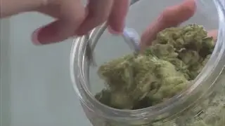 Virginia Gov. Youngkin vetoes recreational marijuana retail market bill