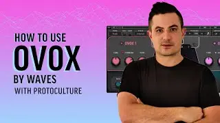 Как использовать Waves OVox с Protoculture