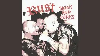 Skins and Punks