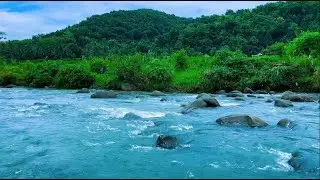 Relaxing River Stream Sounds to Fall Asleep Fast Deep Sleep Water Ambience Night