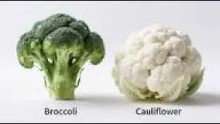 COMPARISON CAULIFLOWER VS BROCCOLI/ گوبھی بمقابلہ بروکولی کا موازنہ