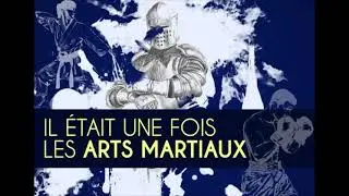 IletaitunefoislesArtsMartiaux.fr - Cocktail Vision