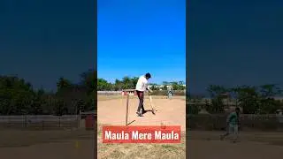 Maula Mere Maula ❤️🏏 #cricket #shorts #insanecricketing