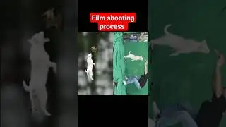 Film shooting process | filmy scene kese banate hain | Cartoon TV