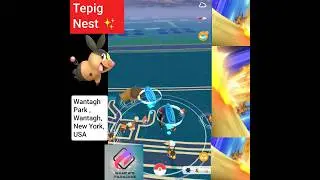 Tepig Nest in Pokemon Go #tepig #tepignest #pokemonnest #pokemongousa #wantaghpark #pokemon #game