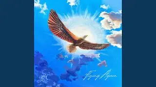Flying Again