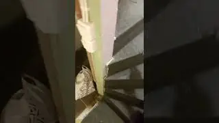 Perjantai!Eikun huopa hommiin!