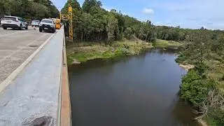 KURANDA BRIDGE REPAIRS AND BIRDS #vlog #cairnslobster #kuranda #birdwatching