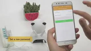 Floureon Panda 720p IP camera with TF Card slot