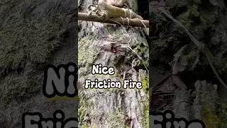 Nice friction fire #firemaking #bushcraft #primitivefirelighting #survival