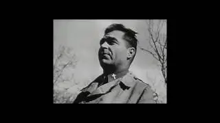 Johannes Post
