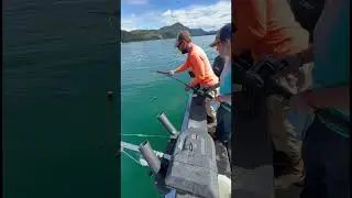 Halibut Fishing With the Kids 2