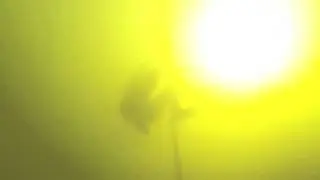 Underwater Pole Vault