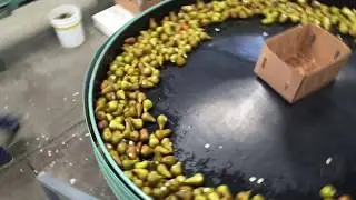 Tour of a Pear Packing Shed
