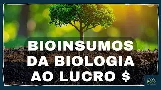 BIOINSUMOS: O divisor de águas da produtividade e da margem no agro