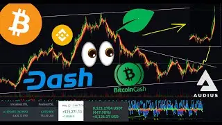 КАК ВЕСТИ СЕБЯ НА РОСТЕ РЫНКА КРИПТЫ? 📈 [BTC, DASH, BNB, XCH, BCH, AUDIO]