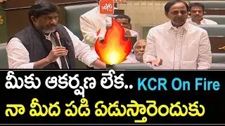 CM KCR Fires on Bhatti Vikramarka | CLP Merged in TRS | Telangana Assembly | YOYO TV Channel