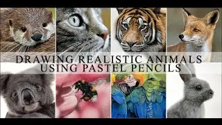 How to Draw Realistic Animals with Pastel Pencils