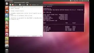 configuraci&oacute;n y comprobaci&oacute;n SGA en oracle