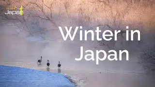 Winter in Japan | Clearer Light, Thinner Crowds, & Fuji Views | InsideJapan Tours
