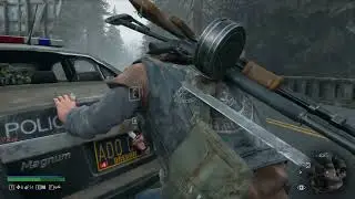Cascade highway  horde #daysgone