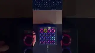House jam #house #housemusic #jam #techhouse #ableton #electronicmusic #midifighter