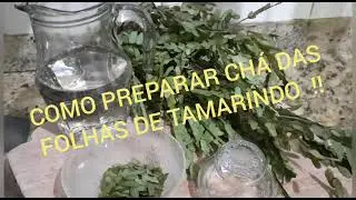 COMO PREPARAR O CHÁ DAS FOLHAS DO TAMARINDO E SEUS BENEFÍCIOS  !!!