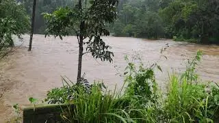 Munnar floods 8 Aug 2019
