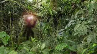 Jungle Alien-ET contact /UFO Spycam-ALIENHUNTERS