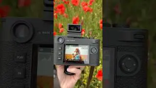 🔴 Portrait session in poppies - Leica M11-P and Summilux-M 50/1.4 ASPH. II