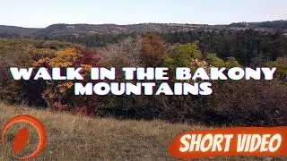 Walk In The Bakony Mountains