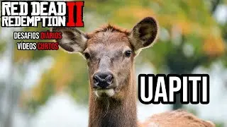 Localiza&ccedil;&atilde;o do Uapiti Red Dead Redemption 2