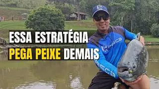 COMO PESCAR TAMBAS ONDE TEM MUITA TIL&Aacute;PIA