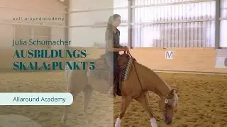 Ausbildungsskala des Westernreitens: Geraderichtung