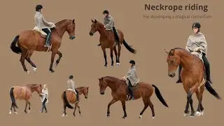 Turning Dreams Into Reality – Dressage with a Neck Rope
