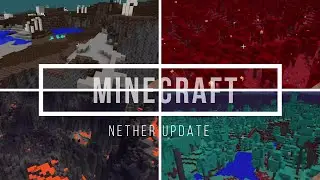 EXPLORING THE NEW BIOMES IN MINECRAFT NETHER UPDATE