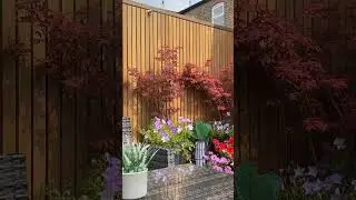 Vertical or Horizontal Fencing: Which Do You Prefer?