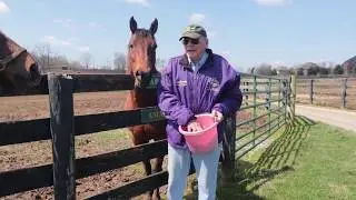 Old Friends Virtual Tour - Amazombie and Rapid Redux