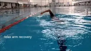 TI Effects on freestyle Swimming