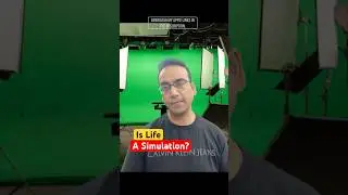 Is our life a simulation?