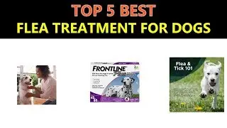 Best Flea Treatment for Dogs 2019
